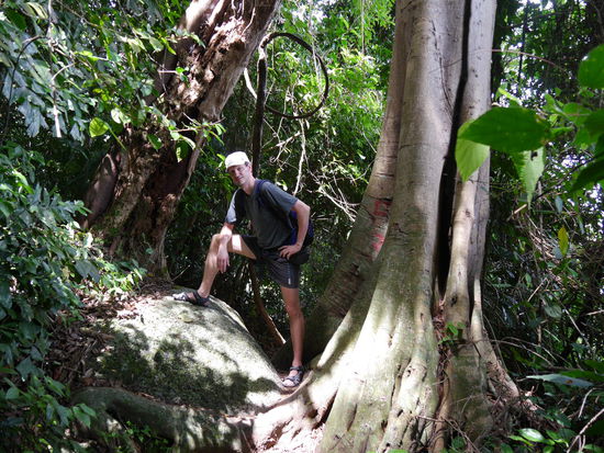 Weiter über Stock und Stein.