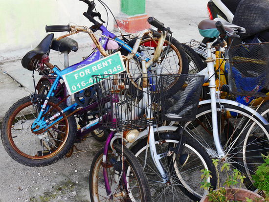 Wir sind lieber gelaufen....