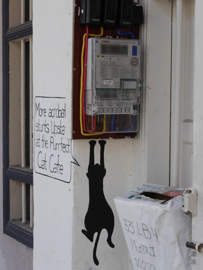 Eingang zum Cat-Cafe