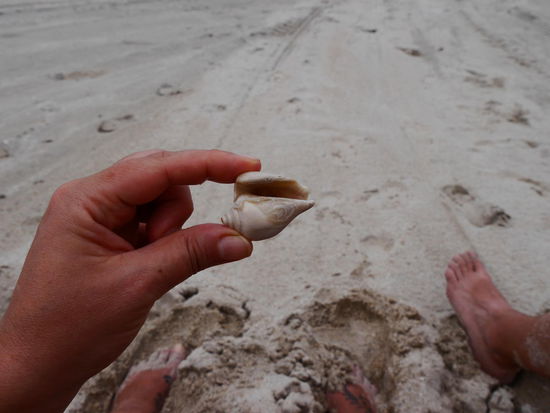 Da wohnt doch jemand??