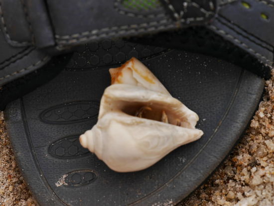 Na klar wohnt da jemand!