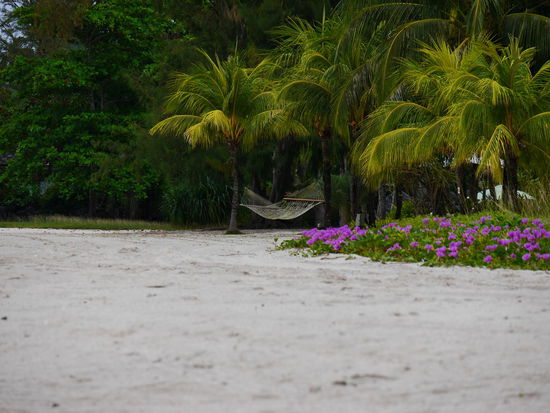 Verbotener Blick auf den Strand des Four Seasons. Die Superreichen unter sich. Soviele scheint es aber nicht zu geben. Weit und breit kein Mensch zu sehen.