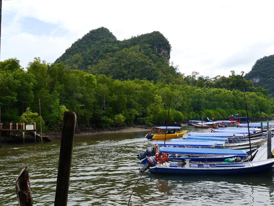 Bootstour durch die Mangroven.