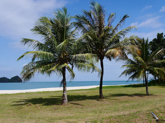 Da wo die Reichen und Schönen wohnen...
