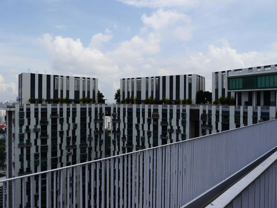 Die 500m lange Skybridge.