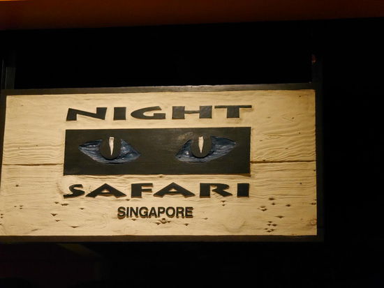 Das einzige Bild der Nacht Safari. Warum?? Na es war duster und zwar zappenduster.