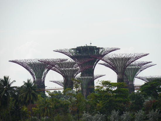 Gegenüber sind die Garden bei the Bay. Die riesigen Beton/Metallbäume sehen tagsüber leicht befremdlich aus.
