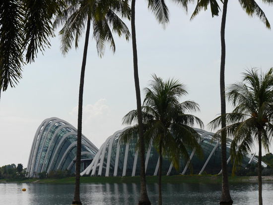 Die beiden Gewächshäuser: Cloud Forest und Flower Dome. Eintritt jeweils 30$.