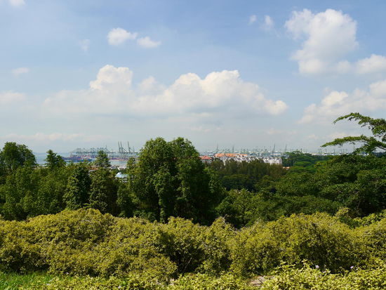 Aussicht auf den Hafen.