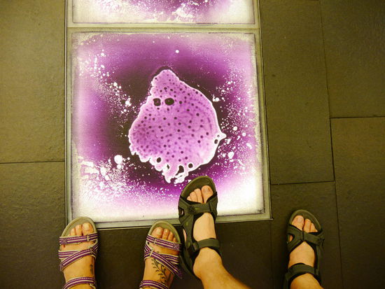 Lustige Bodenfliesen in der Mall. Unter den Fliesen ist eine lila Flüssigkeit und wenn man drauftritt kommen lustige Dinge dabei raus. Wir zauberten eine Amöbe mit Sonnenbrille 