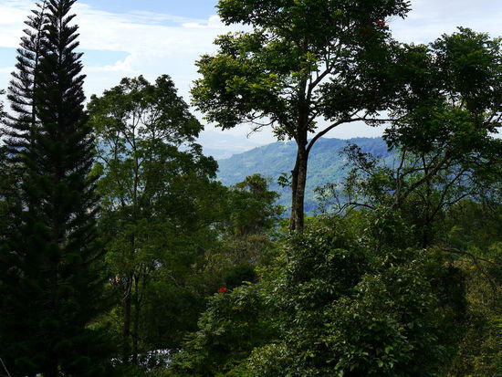 Herrliche Aussichten und ein paar Grad kühler als unten.