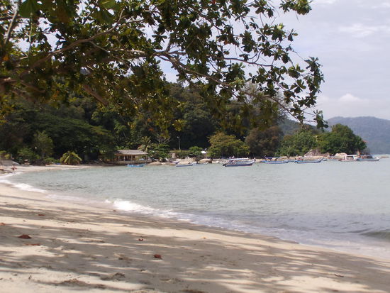 Unser Schattenspender