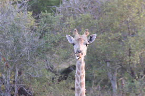 So, Mund abwischen....