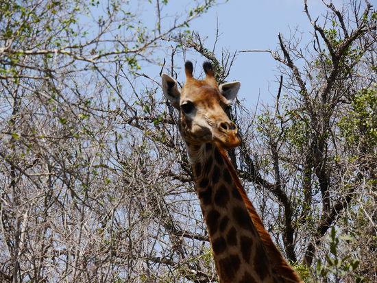 Was gibt es da bloß zu sehen?