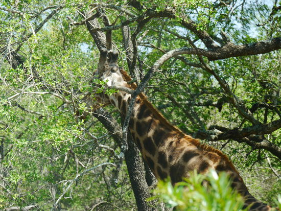 Ach so, noch mehr von uns.
