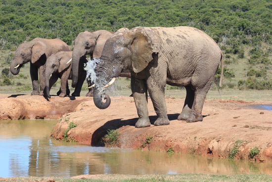 Erfrischung gefällig?