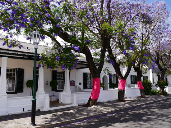 Graaff Reinet oder doch vielleicht Holland?