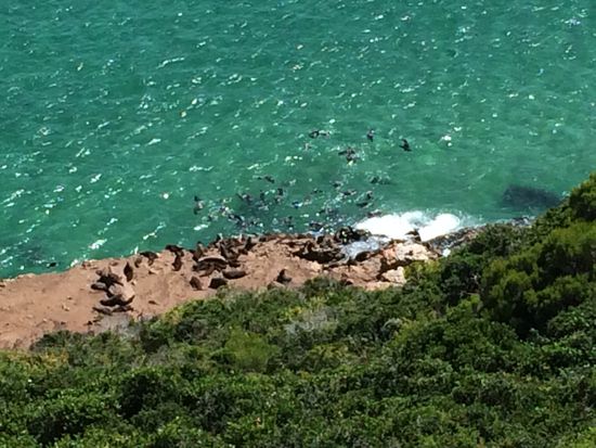 Robberg und seine Bewohner