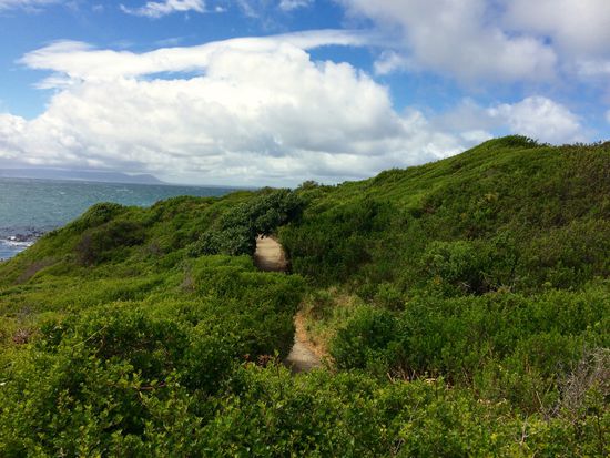 Der 12Kilometer lange Cliff Path beginnt fast vor unserer Haustür