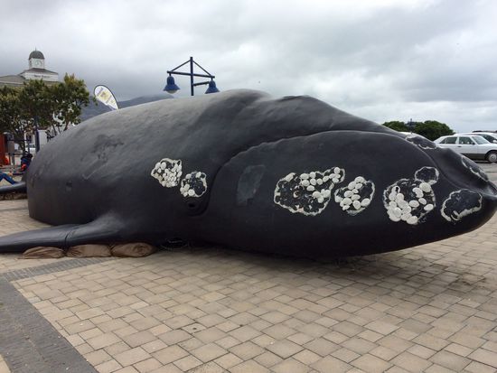 Südlicher Glattwal vor dem Walmuseum
