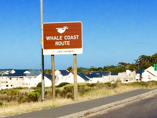 Ja wo seit ihr bloß??