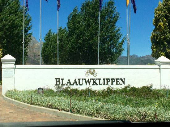 Weingut Blaauwklippen