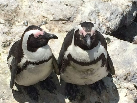 Ist dir auch so langweilig wie mir??