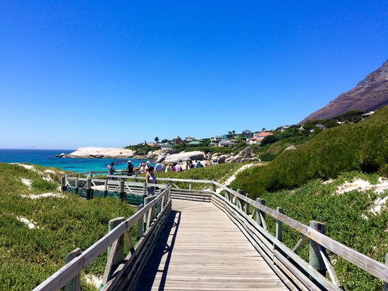 Boulders Beach, die zweite Pinguinkolonie in Südafrika