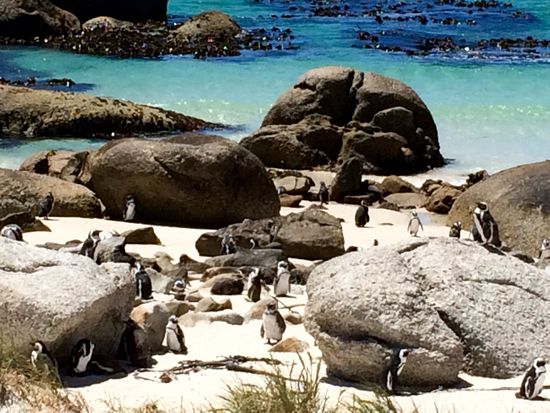 Eine wunderschöne Kolonie aber touristisch total überlaufen.