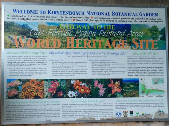 Kirstenbosch, einer der schönsten Botanischen Gärten der Welt