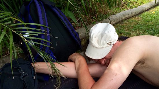 Ermatteter Botaniker