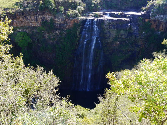 Lisbon Fall im Gegenlicht