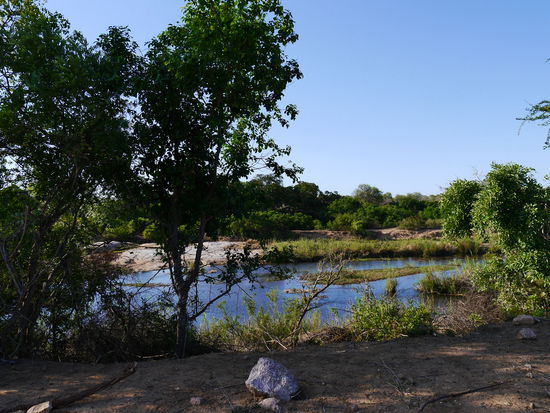 Selati River