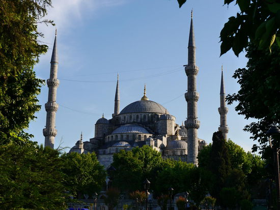 Die Schönste der Schönen.