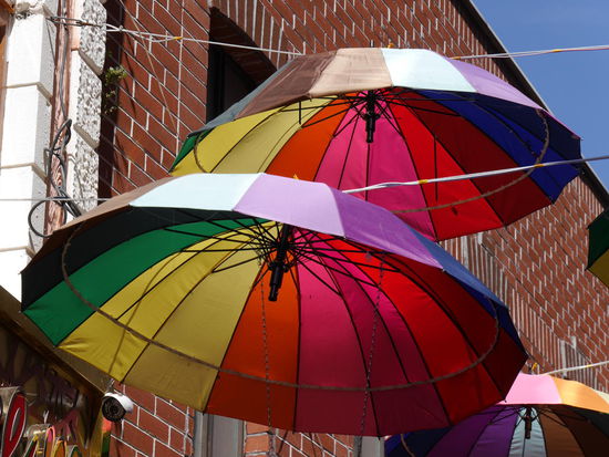 Wenn wir es gewusst hätten, wären die für morgen die unsrigen gewesen...