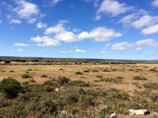 Die Weiten Ebenen der Prärie