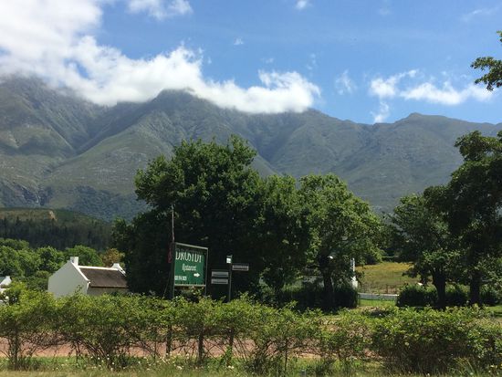 Blick auf die Langenberge