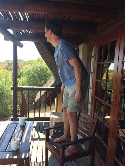 Und wo genau sind jetzt bitte die Elefanten?