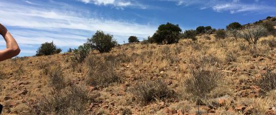 Schweißtreibender Aufstieg