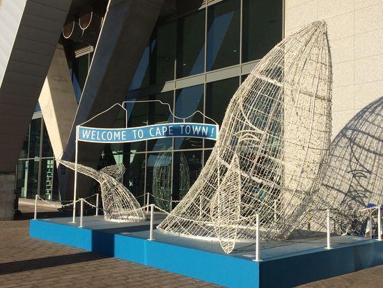 Statt Elefant jetzt Wal