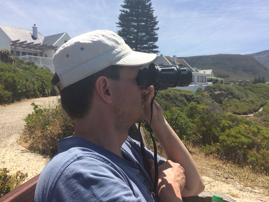 Keine Wale weit und breit....