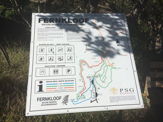 ... den Blauen und den roten Weg....