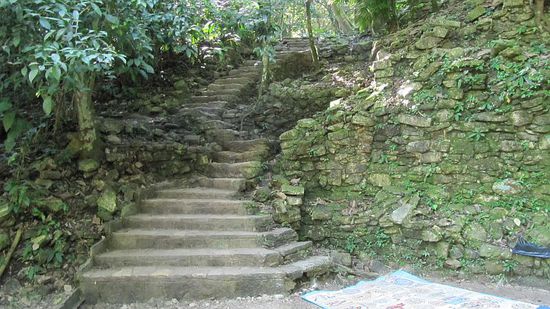 Eine versteckte Teppe in den Dschungel