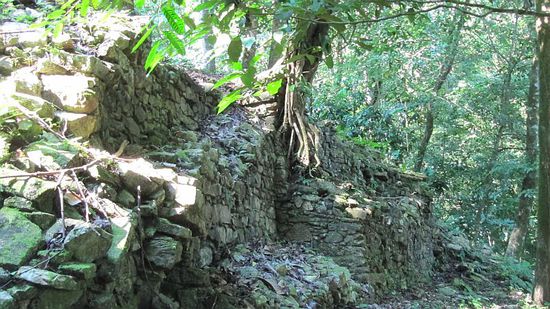 Überwachsene Anlagen