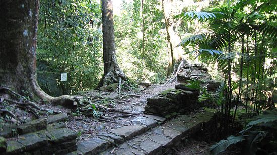 Unerforschte Tempelanlagen im Dschungel