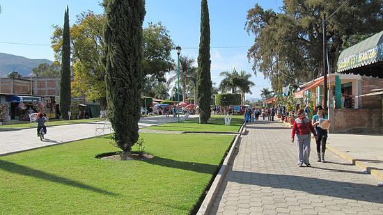 Santa Maria Del Tule