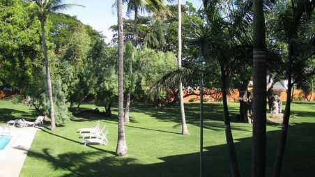 Der Palmengarten des Hotels Calli
