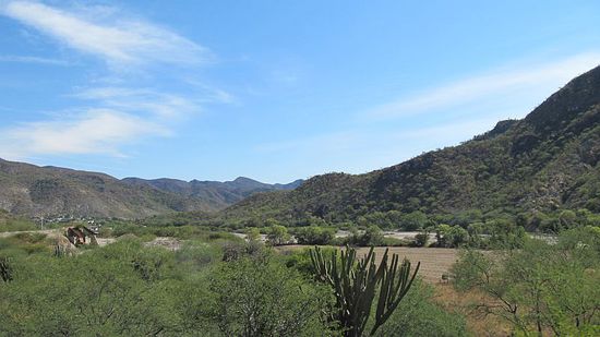 Trockene Flusslandschaft