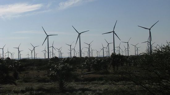 Riesige Windkraftparks