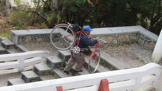 Ob er's auch wieder hinunter trägt?